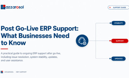 post-go-live-erp-support